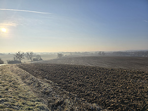 Abb. 4: Ackerlandschaft nördlich von Sternhagen
