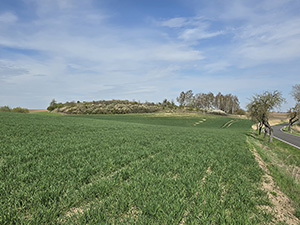 Abb. 11: Braunkohlenaufschluss bei Röpersdorf