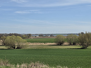 Abb. 10: Uckerniederung nördlich von Zollchow