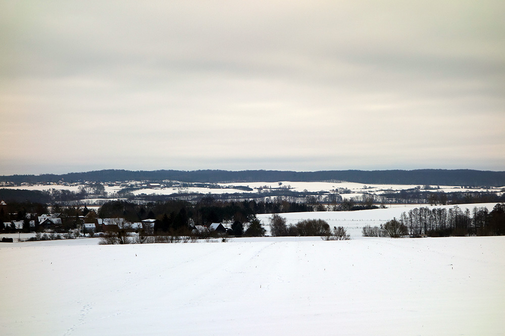 Abb. 2: Blick über den Oberuckersee auf den Melzower Forst