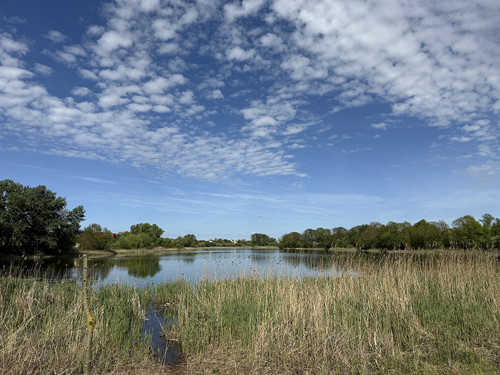 Abb. 9: Blick auf den Grünower See