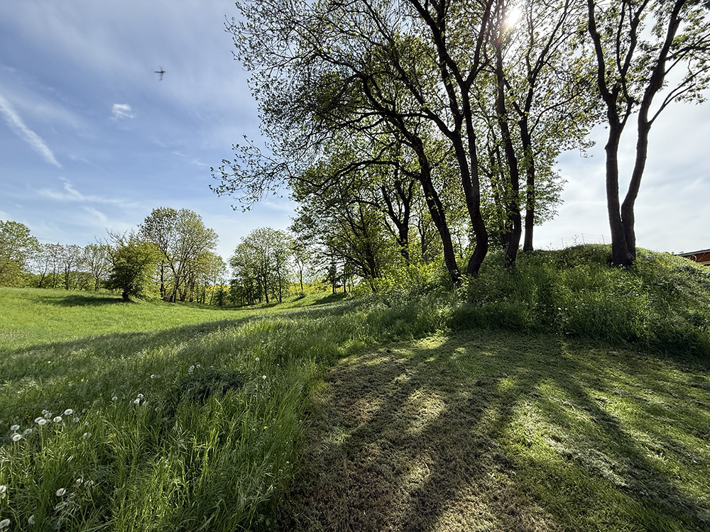 Abb. 8: Der Burgwall von Drense, ist ein markantes Bodendenkmal