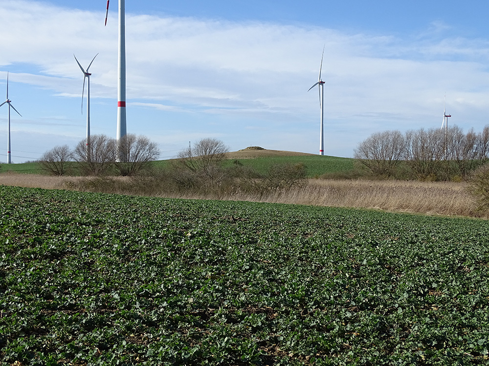 Abb. 7: Vor der Mattheshöhe, Blick zum steinzeitlichen Kultplatz 'Bollenberg' (Hügel in der Mitte)