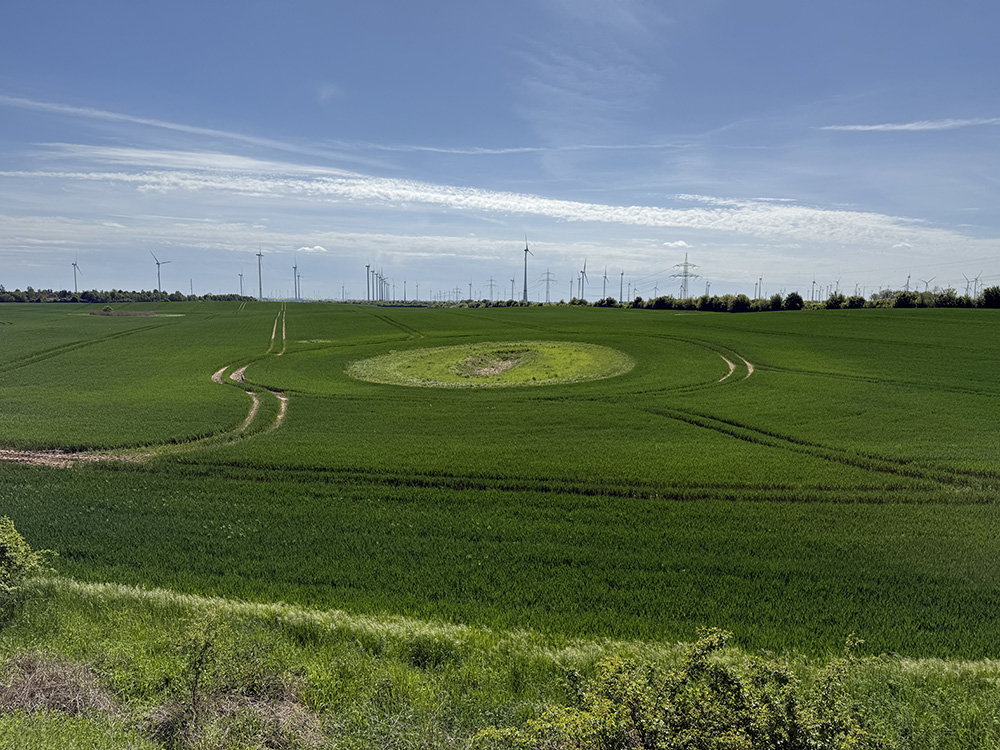 Abb. 1: Sölle zwischen Schönfeld und Klockow
