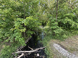 Abb. 2: Quillow bei Klinkow