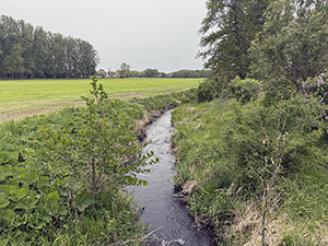 Abb. 3: Köhntop zwischen Taschenberg und Jagow