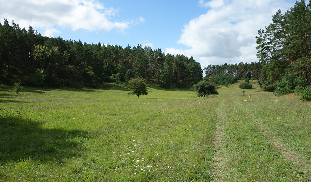 Abb. 2: Naturschutzgebiet Charlottenhöhe