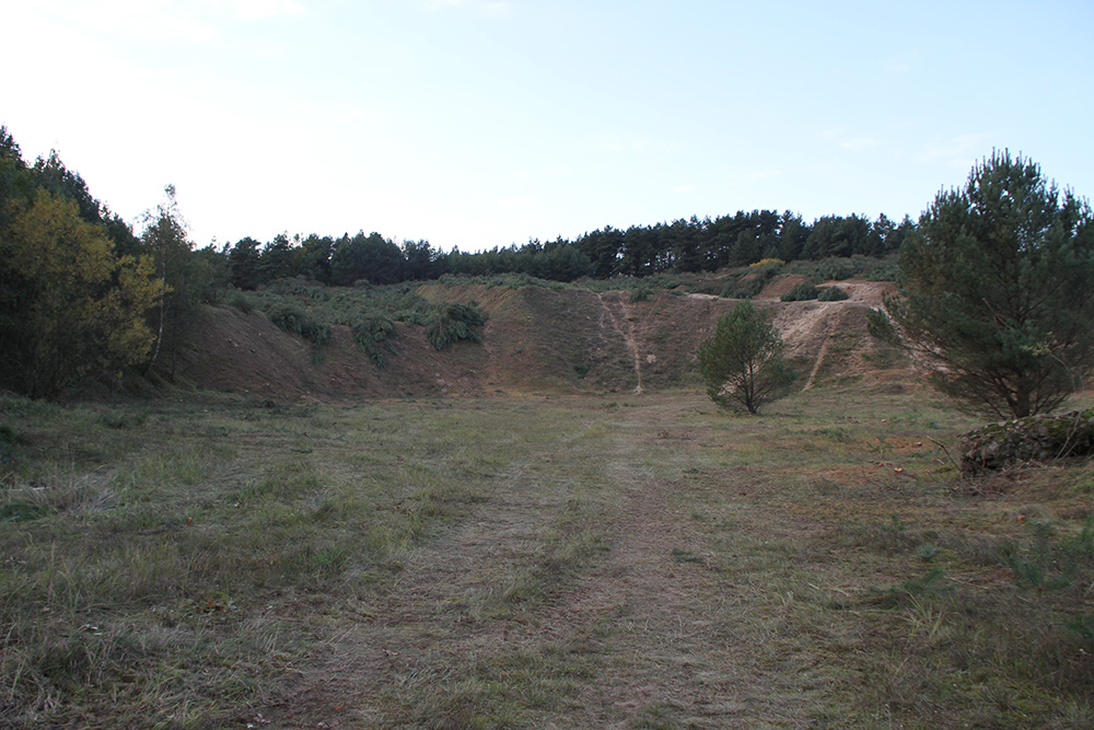 Abb. 3: Kiesgrube im NSG „Charlottenhöhe“ nach Entnahme von Kiefernaufwuchs