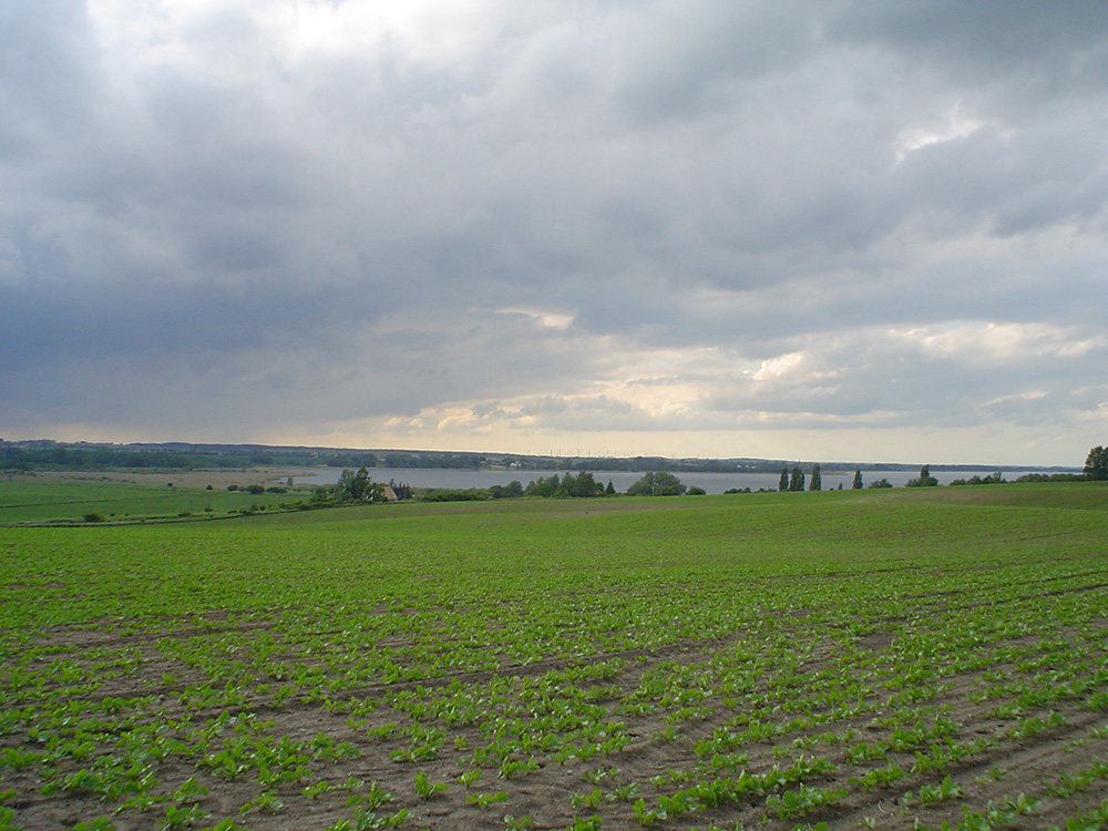 Abb. 1: Süd-Spitze Unteruckersee bei Siefertshof