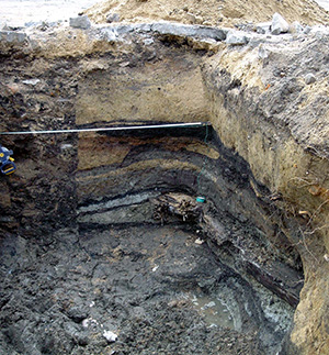 Abb. 2: Kulturschichten in der Prenzlauer Neustadt im Bereich des Priestergrabens. Unten sind Hölzer der Erstbebauung 1240/ 50 erkennbar, darüber mehrere Auffüllschichten und Lehmfußböden von Gebäuden. (Grabung UBO-2010-109, HIDDE u. ROEDER 2011).