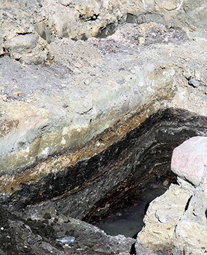 Abb. 3: Unweit westlich der Prenzlauer Stadtmauer, vor dem Mitteltor, wurde um 1245 eine größere Fläche zur Nutzung vorbereitet. Über der künstlichen Tragschicht aus Holz und Stroh (untere helle Schicht) liegen etliche Kulturschichten. (Grabung Pe-2018-UM-012, HIDDE u. ROEDER 2019).