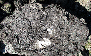 Abb. 4: Detailfoto (aus Abb. 3) der organischen Tragschicht, die sich in der gesamten Neustadt findet. Unzählige dünne Äste, Birkenrinde, Holzstücke und Schilf bilden eine feste, tragfähige Schicht, auf der man Straßen, Plätze und Fachwerkhäuser errichten kann.