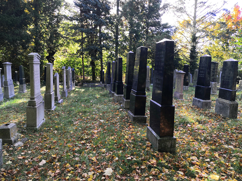 Abb. 1: Grabsteine des neuen jüdischen Friedhofs