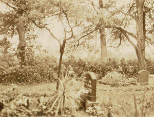 Abb. 51:Ludwigsburg – der Friedhof hinter dem Gutspark vor 1945