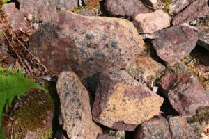 Abb. 8:  Porphyrit im Steinbruch Leutewitz. Der rötliche Porphyrit zeigt daneben auch zahlreiche dunkelgrüne Hornblendeeinsprenglinge