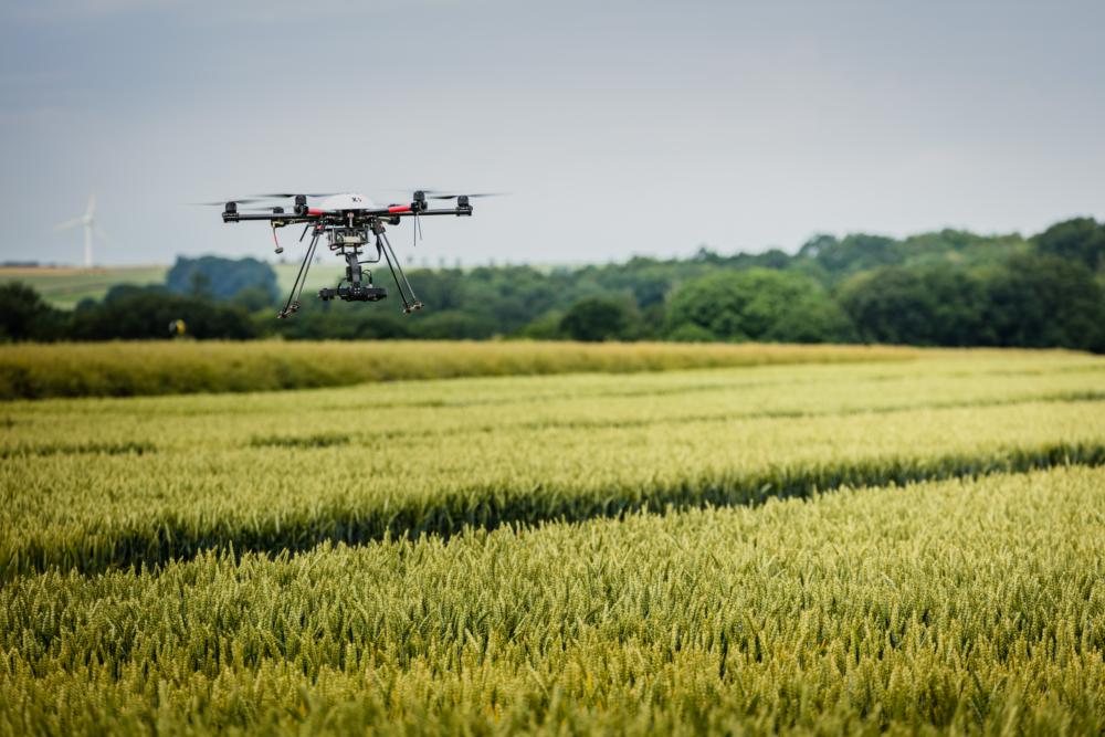 Abb. 7: Fernerkundung mittels Drohne über einem Getreideschlag in der Lommatzscher Pflege