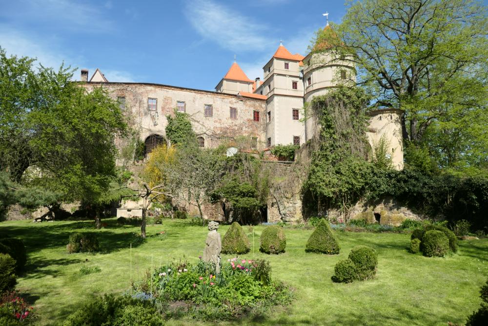 Abb. 14: Aus dem ehemaligen Burggarten von Scharfenberg mit vorwiegend Nutzpflanzen wurde ein betretbarer romantischer Ziergarten mit einigen Zier- und Obstgehölzen; rechts die Eingangstürme zur Burg, von denen der linke jetzt voll mit Efeu überzogen ist.