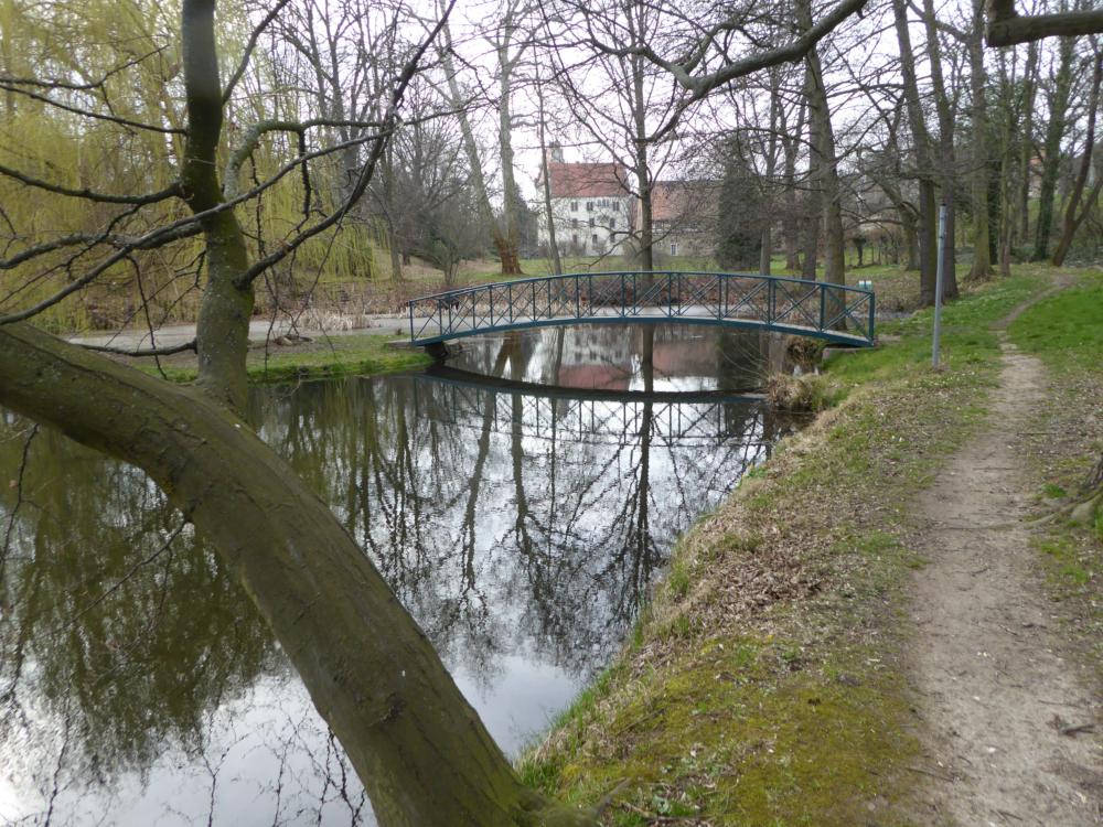 Abb. 19: Der Blick vom kleinen Stauteich am Ende des Heynitzer Parks führt über die große Wiese mit einer rahmenden Gehölzkulisse zum Schloss. Eine Brücke führt auf eine kleine Insel mit Sitzplatz unter einer Hänge-Weide.